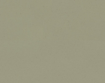 [100111118_8] Marmoleum Cocoa - 3593 matcha